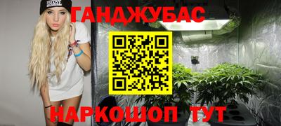 скорость Кингисепп