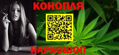 скорость Кингисепп