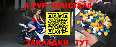 скорость Кингисепп