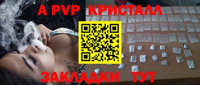 скорость Кингисепп