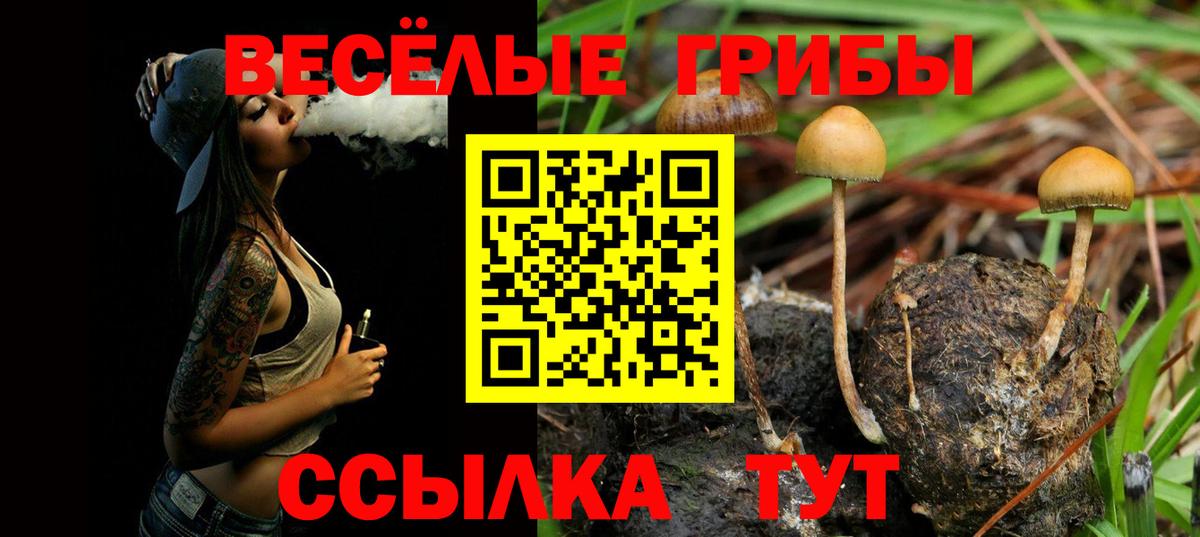 Кувандык  Псилоцибиновые грибы мухоморы  Галлюциногенные грибы Psilocybine cubensis  Вход с VPN 